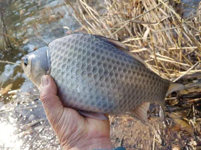 아름다운장계지