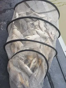 빗소리 요란했던 7월첫주말조황소식-오목지