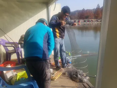 11  월  15   일  경기도 안성 거청낚시터 붕어조황