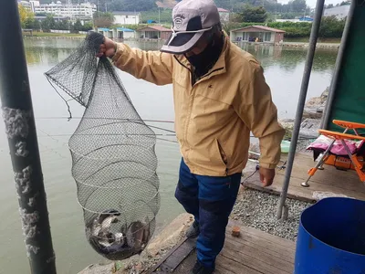 10  월  13일  경기도 안성 거청낚시터 붕어조황