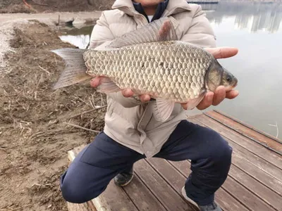 아산 명품 월랑낚시터 3월 세번째 조황이야기입니다...^^