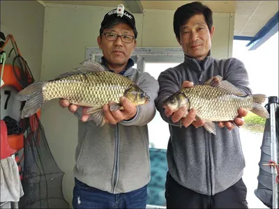 18.05.14 송전지 서울집 조황