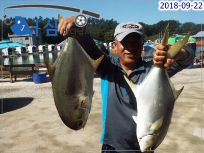 9월22일 어심바다낚시터조황