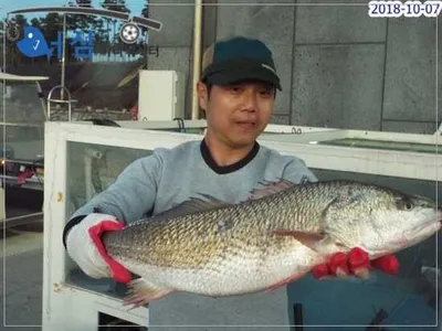 10월7일 어심바다낚시터조황