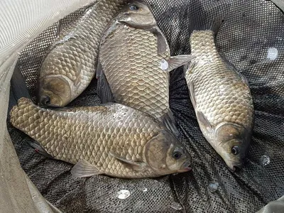 아름다운장계지에서