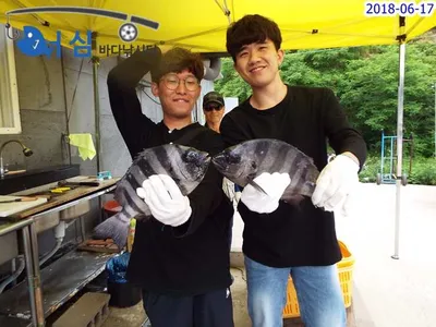 대박 ㅡ6월17일어심바다낚시터조황