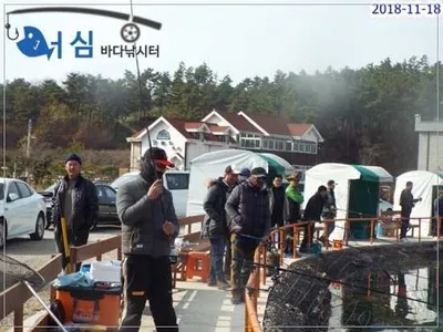 11월18일 어심바다낚시터조황