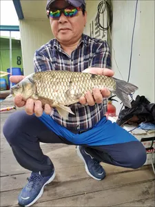 18.05.06 송전지 서울집 조황