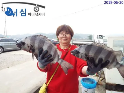 6월30일 어심바다낚시터조황