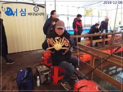 12월09일 어심바다낚시터조황 