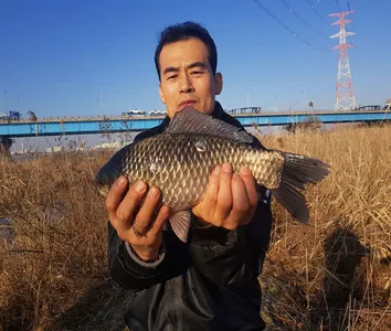 토종잡이터(노진낚시터)조황소식