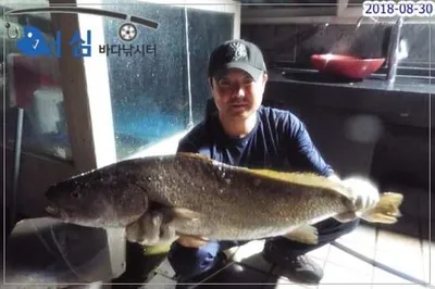 8월30일 어심바다낚시터조황