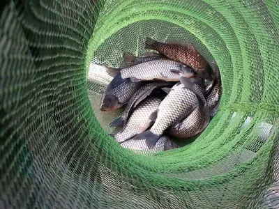 한해동안 수고많으셨습니다~감사합니다