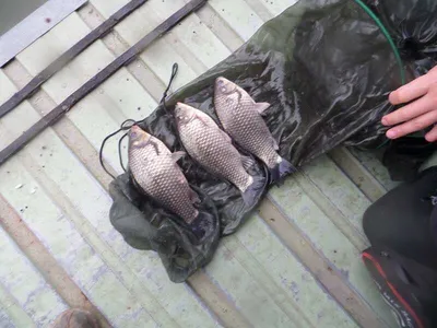 3월 첫주말 오목지입니다~~~