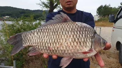 아산 명품 월랑낚시터 9월 마지막 조황이야기입니다...^^