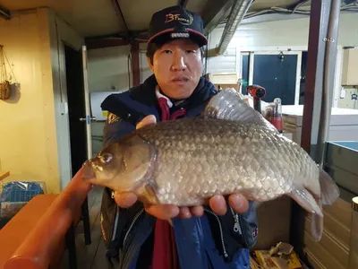 아산 명품 월랑낚시터 4월 첫째주 주말조황 소식입니다...^^