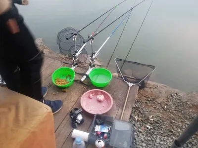 11  월  21   일  경기도 안성 거청낚시터 붕어조황