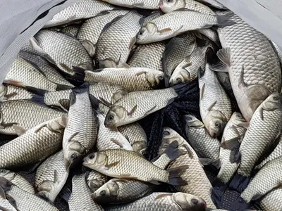 아름다은계곡속에자리잡은곳