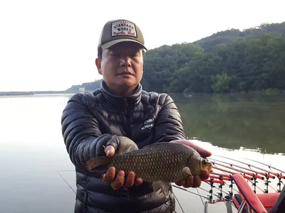 안성죽산장계지조항전경입니다