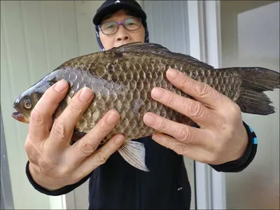 18.03.26 송전지 서울집 조황