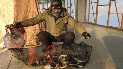 아산 명품 월랑낚시터 2월 세째쭈 조황 야기입니다....^^