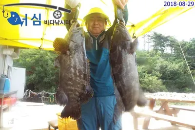 8월29일 어심바다낚시터조황