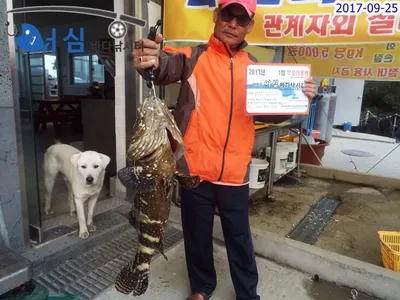 9월 25일 어심바다낚시터 조황 사진