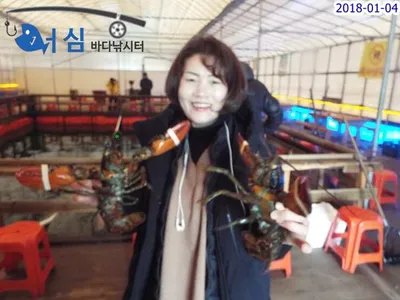 1월04일어심바다낚시터조황