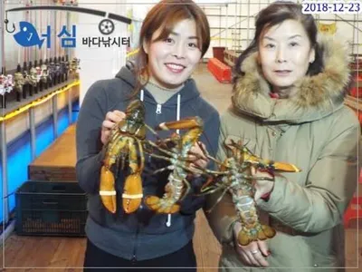 12월24일 어심바다낚시터조황