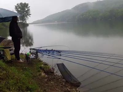 안성죽산장계지조항전경입니다
