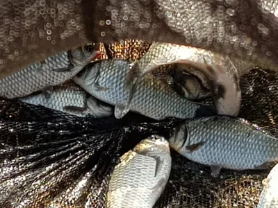 산속깊은계곡속에자리잡은장계지에서