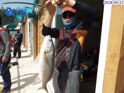 4월21일어심바다낚시터조황