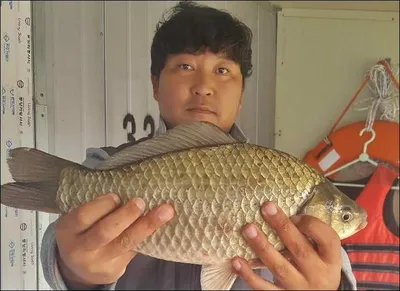 17.11.08 송전지 서울집 조황