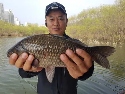 아산 명품 월랑낚시터 4월 첫주중 조황소식입니다....