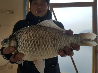 아산 명품 월랑낚시터 5월 둘째쭈 조황이야기입니다...^^