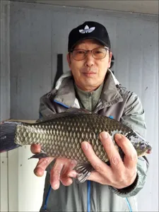 17.10.15 송전지 서울집 조황