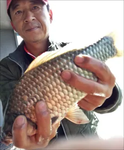 17.10.26 송전지 서울집 조황