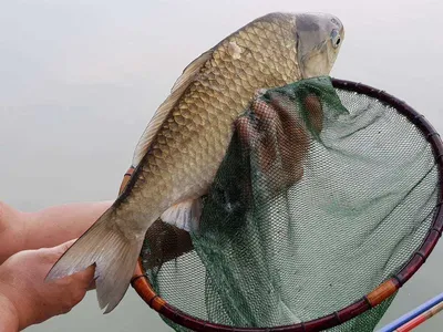 아름다운장계지에서