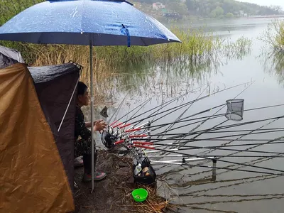 안성죽산장계지조항전경입니다