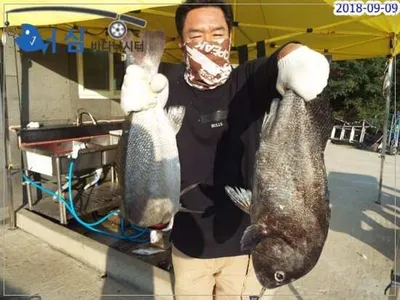 9월9일 어심바다낚시터조황