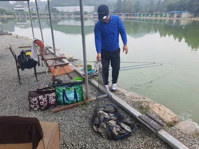 경기도 안성 거청낚시터 붕어조황  9 얼  11