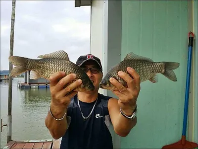 17.08.29. 송전지 서울집 조황