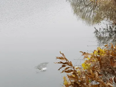 아름다은계곡속에자리잡은곳