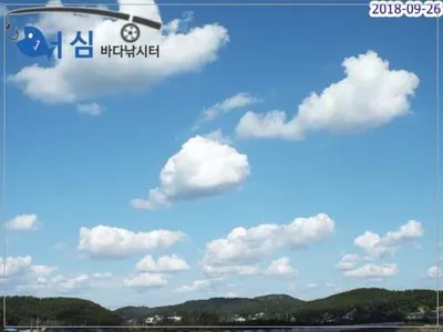 9월26일 어심바다낚시터조황