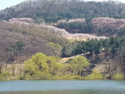 아름다운장계지