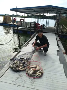 오목낚시터 칠월둘째주 조황좋아요!!!