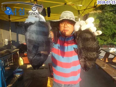 7 월16일 어심바다낚시터조황