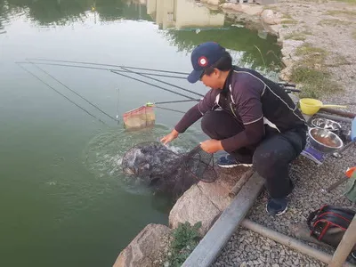 경기도 안성 거청낚시터 붕어조황  9 얼  18