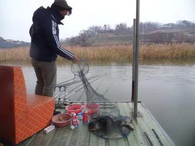 오목낚시터 11월 마지막주 조황입니다~~~