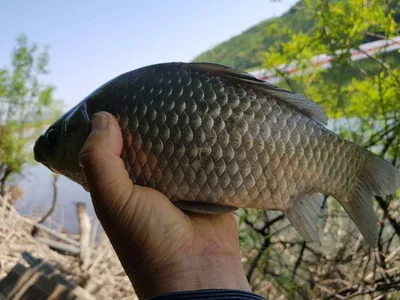아름다운장계지에서